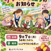 ブログ画像