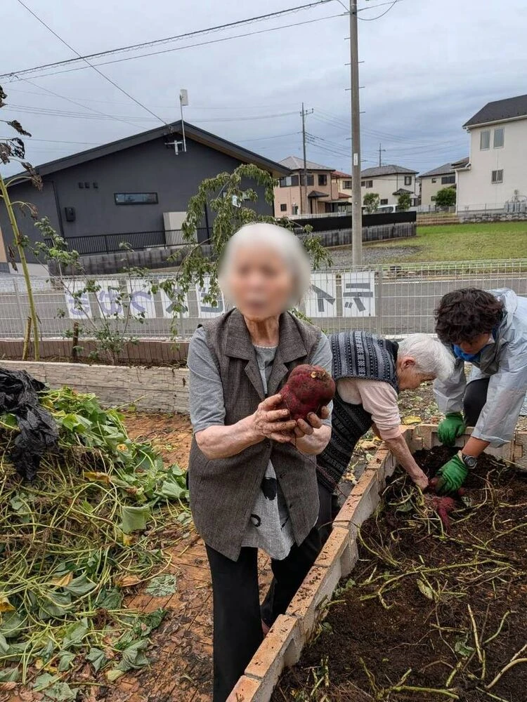 ブログ画像